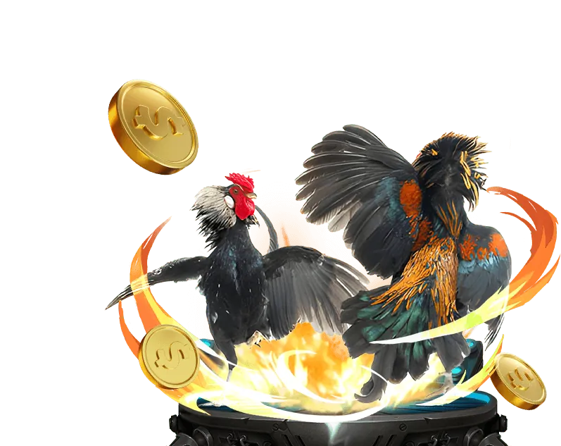 Cá cược thể thao 68win11